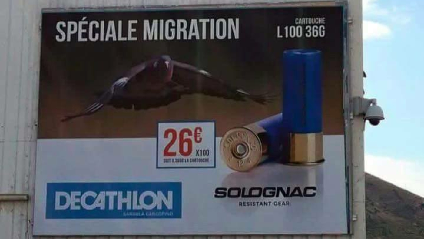 decathlon-special-migration