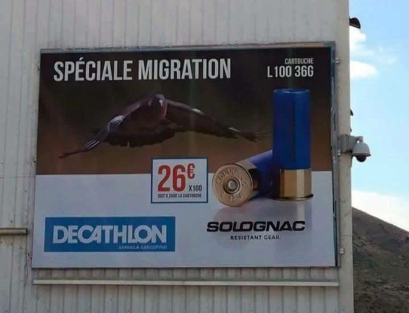 decathlon-special-migration