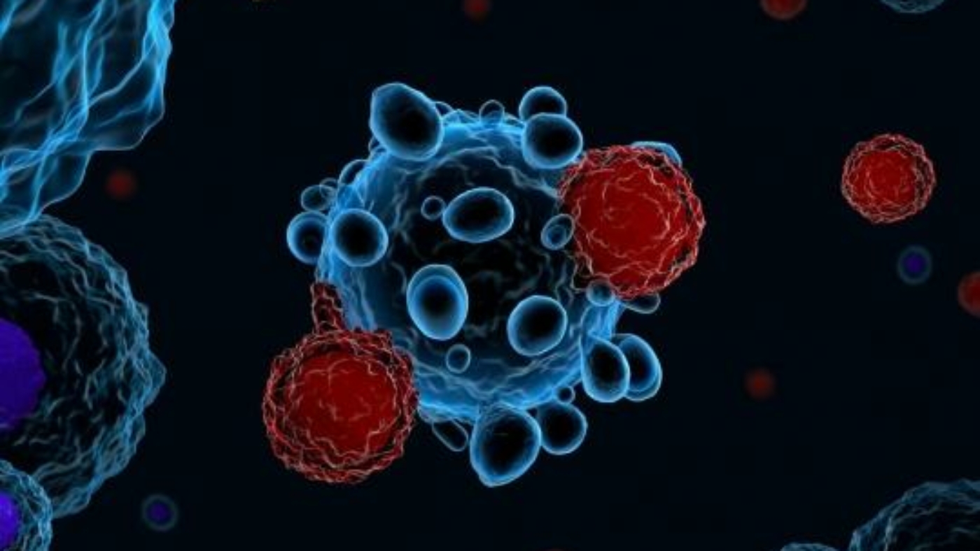 CAR-T Cells